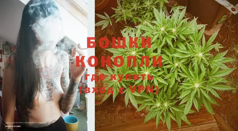 гидра   Белозерск  Шишки марихуана OG Kush 